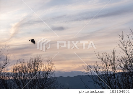 Sunset over Lake Biwa in orange Sunset over Lake Biwa in orange 103104901