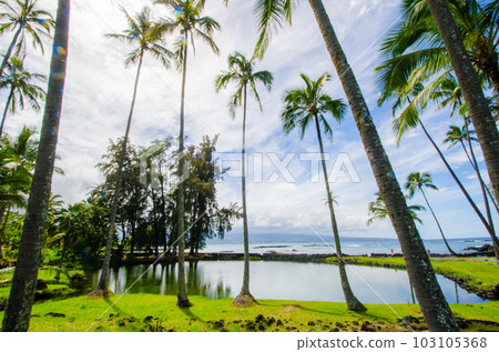 夏威夷夏威夷島黑沙灘遠處的莫納克亞火山 夏威夷夏威夷島黑沙灘遠處的莫納克亞火山 103105368