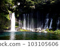 Fujinomiya Shiraito Falls 103105606