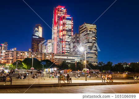 Seoul, Yeouido Han River Park at night *partially soft focus 103106099