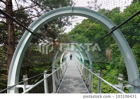 Hantangang Jusangjeolli Cliff, called Korea's Grand Canyon, UNESCO Geopark Hantangang Jusangjeolli Cliff, called Korea's Grand Canyon, UNESCO Geopark 103106431