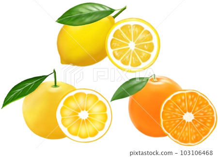 柑橘類水果水果 103106468