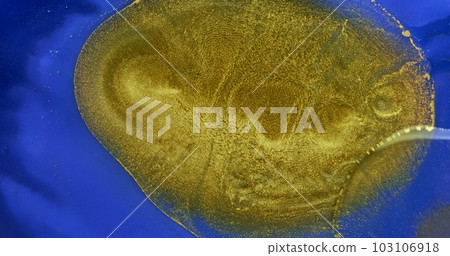 Golden waves flow over blue paint abstract background. Slow motion. Golden yellow ink splash flowing over bright blue liquid surface. Rich deep color texture. Acrylic fluid art. Shiny artwork backdrop Golden waves flow over blue paint abstract background. Slow motion. Golden yellow ink splash flowing over bright blue liquid surface. Rich deep color texture. Acrylic fluid art. Shiny artwork backdrop 103106918