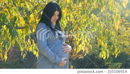 Happy pregnant woman smiling dreaming about baby in sunny autumn park. Pregnant mother strokes, touches belly on nature background of yellow trees foliage. Bright natural sun light day in fall forest Happy pregnant woman smiling dreaming about baby in sunny autumn park. Pregnant mother strokes, touches belly on nature background of yellow trees foliage. Bright natural sun light day in fall forest 103106919