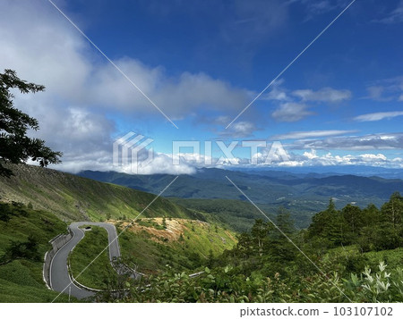 scenery scenery 103107102