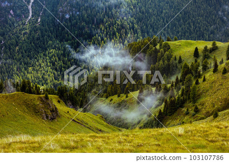 landscape with hills, forest and fog 103107786