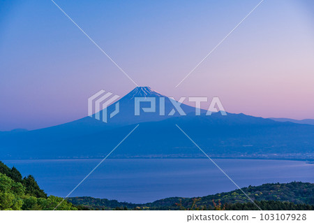 (Shizuoka Prefecture) Dawn overlooking Mt. Fuji from the Izu Darumayama Plateau 103107928