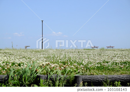 A flowered park that appears at the end of the stairs 103108143