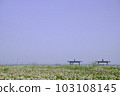 Bench in the flower garden 103108145