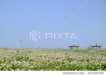 Bench in the flower garden 103108146