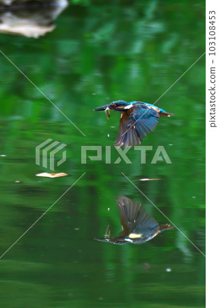 run across the water 103108453