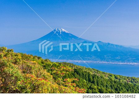 （靜岡縣）從富士山越過駿河灣的富士山 103108482