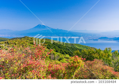 (Shizuoka Prefecture) Mt.Fuji over Suruga Bay from Mt. 103108484