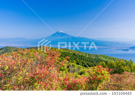 （靜岡縣）從富士山越過駿河灣的富士山 103108485