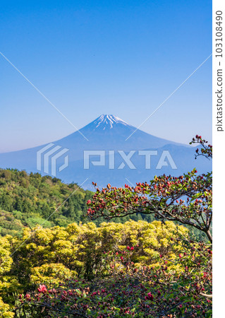 （靜岡縣）從富士山越過駿河灣的富士山 103108490