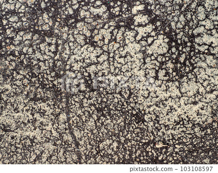 birch pollen on surface of brown asphalt road birch pollen on surface of brown asphalt road 103108597