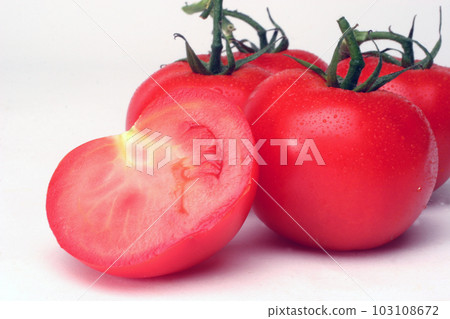 Tomato 103108672