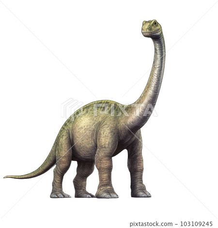 雷龍 雷龍 103109245