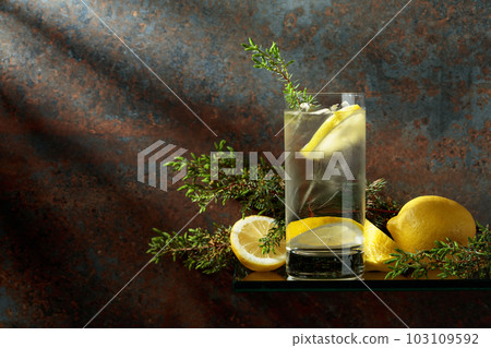 Gin and Tonic with ice, lemon, and juniper branches. 103109592