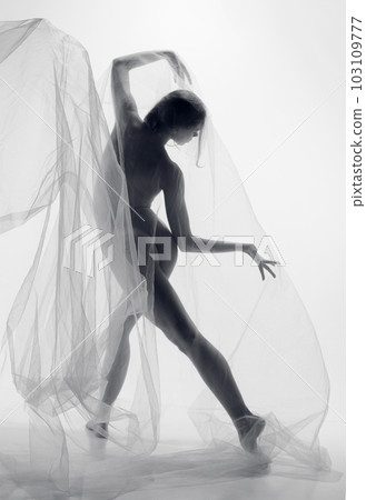 Silhouette of nude sensual tender young woman, girl with perfect slim body shape covered transparent floating fabric and posing with inspiration. Monochrome Silhouette of nude sensual tender young woman, girl with perfect slim body shape covered transparent floating fabric and posing with inspiration. Monochrome 103109777