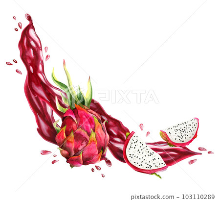 Dragon fruit juice splashes and blots with watercolor whole pitaya and slices illustration. Juicy delicious summer food 103110289