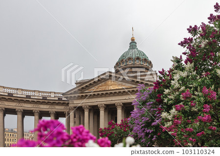 historic building Kazan Orthodox Cathedral and blooming lilacs in defocus on Nevsky Prospect in St. Petersburg in summer 103110324