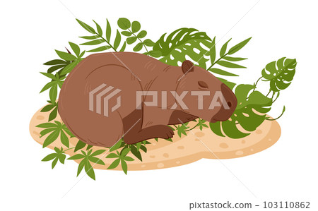 Wild capybara. Cartoon semi-aquatic mammal in natural habitat. Herbivore animals flat vector illustration Wild capybara. Cartoon semi-aquatic mammal in natural habitat. Herbivore animals flat vector illustration 103110862