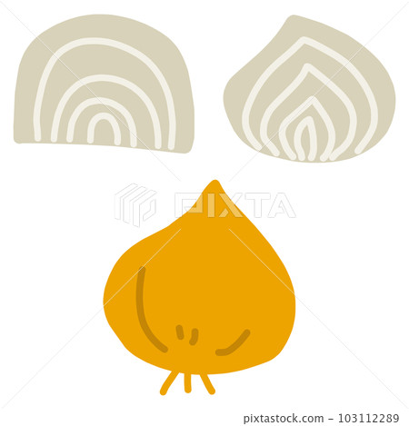 簡單洋蔥及其橫截面的手繪彩色插圖集 103112289