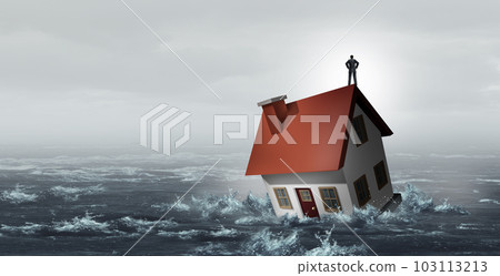 Housing Market Crisis Housing Market Crisis 103113213