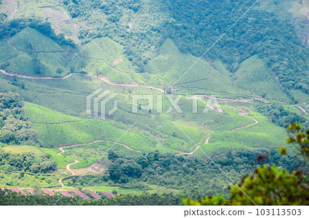 Misty mountains of Munnar Misty mountains of Munnar 103113503