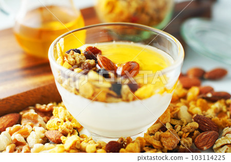 將格蘭諾拉麥片塗在酸奶上並撒上蜂蜜。 將格蘭諾拉麥片塗在酸奶上並撒上蜂蜜。 103114225