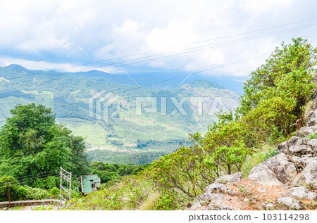 Misty mountains of Munnar 103114298