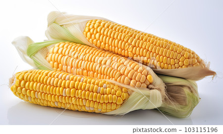 Grains of ripe corn 103115196