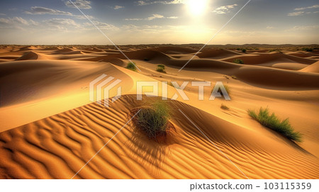Sunset in the desert, Sunset in the desert in Dubai Sunset in the desert, Sunset in the desert in Dubai 103115359