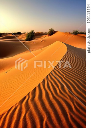 Sunset in the desert, Sunset in the desert in Dubai 103115364