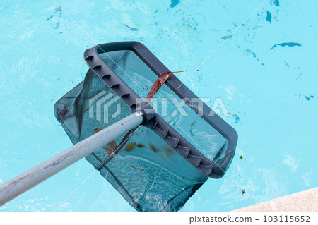 Pool Skimmer cleaning a dirty swimming pool 103115652