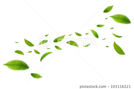 Realistic green tea leaves in motion 103116221