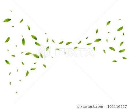 Realistic green tea leaves in motion 103116227