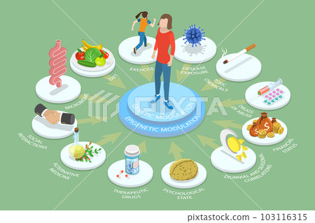 3D Isometric Flat Vector Conceptual Illustration of Epigenetic DNA 103116315