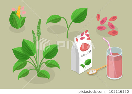 3D Isometric Flat Vector Conceptual Illustration of Psyllium Plant 3D Isometric Flat Vector Conceptual Illustration of Psyllium Plant 103116320