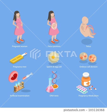3D Isometric Flat Vector Conceptual Illustration of Pregnancy And Obstetrics 3D Isometric Flat Vector Conceptual Illustration of Pregnancy And Obstetrics 103116368