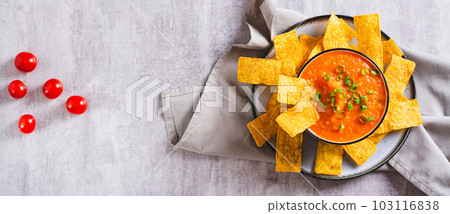 Bowl with mexican tomato salsa and corn chips on the table top view web banner Bowl with mexican tomato salsa and corn chips on the table top view web banner 103116838