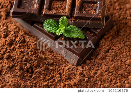 Dark and milk chocolate with nuts on a dark background sprinkled with cocoa powder. Dark and milk chocolate with nuts on a dark background sprinkled with cocoa powder. 103116876