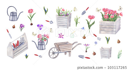 Watercolor set of garden tools, flowers, bulbs, butterflies isolated on white. Illustration of watering can, wooden pots, wheelbarrow, tool box, hand trowels, fork, crocus, tulips, blue snowdrops 103117265