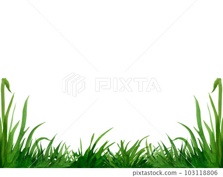 Watercolor hand drawn illustration banner fresh green grass isolated on a white background. Summer grassy element for design, nature landscape. Spring herb. Organic, bio, eco label and shape 103118806