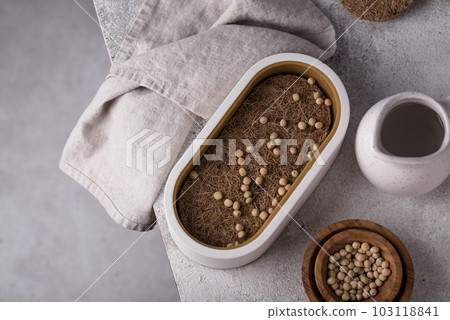 Container and seeds for growing microgreens Container and seeds for growing microgreens 103118841