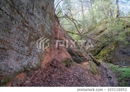 Red sand cliffs Sigulda, Latvia. Gaujas national park Red sand cliffs Sigulda, Latvia. Gaujas national park 103118952