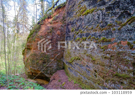 Red sand cliffs Sigulda, Latvia. Gaujas national park Red sand cliffs Sigulda, Latvia. Gaujas national park 103118959