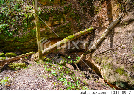 Red sand cliffs Sigulda, Latvia. Gaujas national park Red sand cliffs Sigulda, Latvia. Gaujas national park 103118967