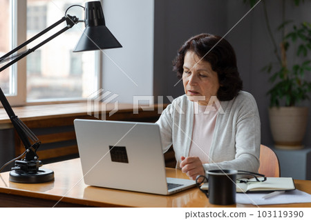 Confident stylish european middle aged senior woman using laptop at home. Stylish older mature 60s lady sitting at table looking at computer screen typing chatting reading writing email Confident stylish european middle aged senior woman using laptop at home. Stylish older mature 60s lady sitting at table looking at computer screen typing chatting reading writing email 103119390